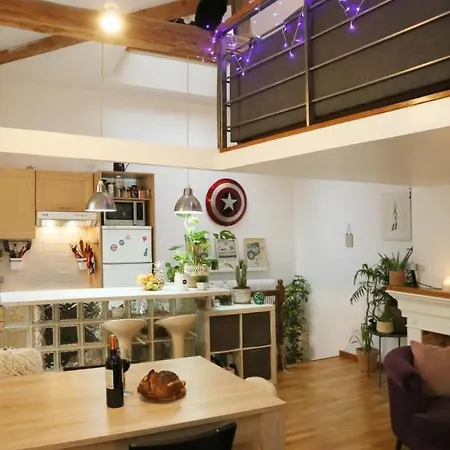 Superb Duplex Design And Cosy Near Marais Appartement *